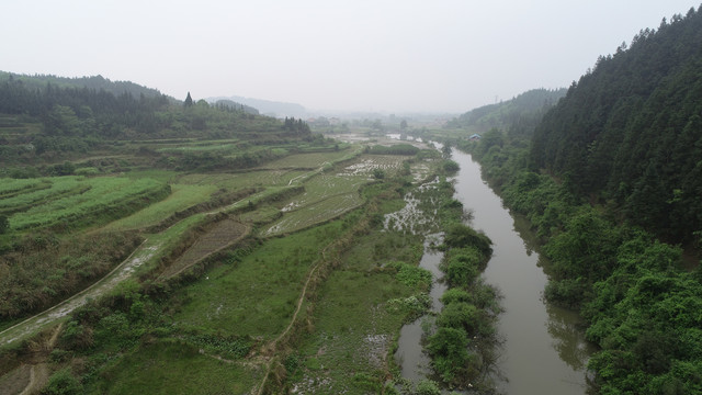 青蛙养殖基地