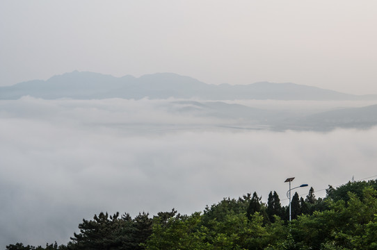 旅顺白玉山上平流雾