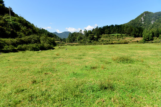 湖北省咸丰县巴西坝草原