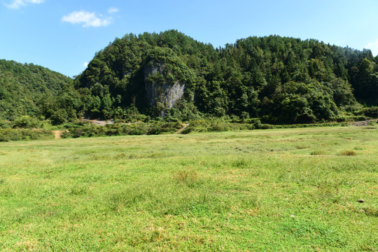 湖北省咸丰县巴西坝草原