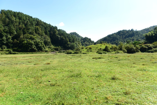 湖北省咸丰县巴西坝草原