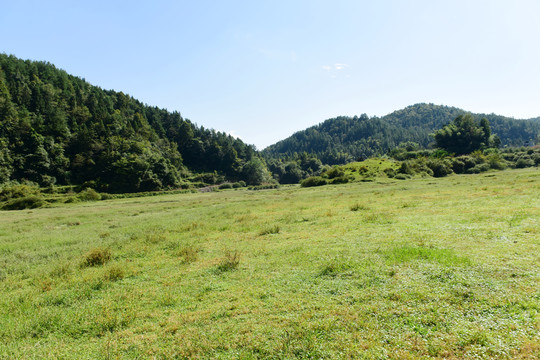 湖北省咸丰县巴西坝草原