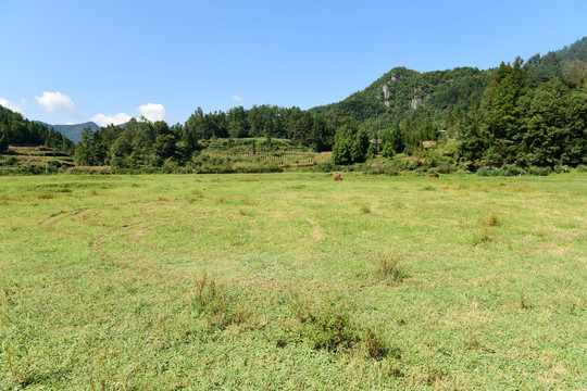 湖北省咸丰县巴西坝草原