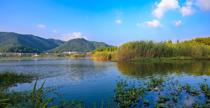 宁波东钱湖马山湿地