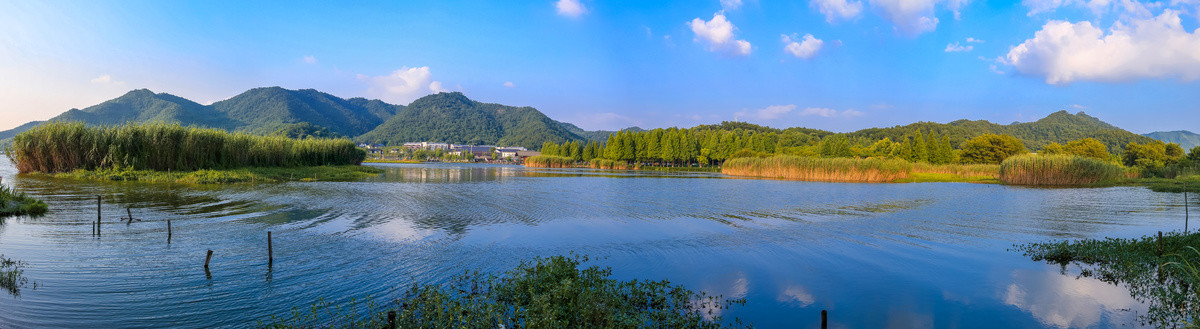 宁波马山湿地全景