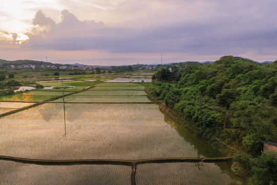 湘南田园风光23