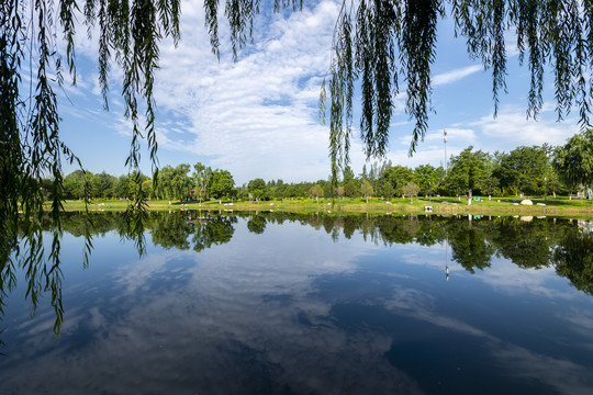 西安浐灞湿地公园