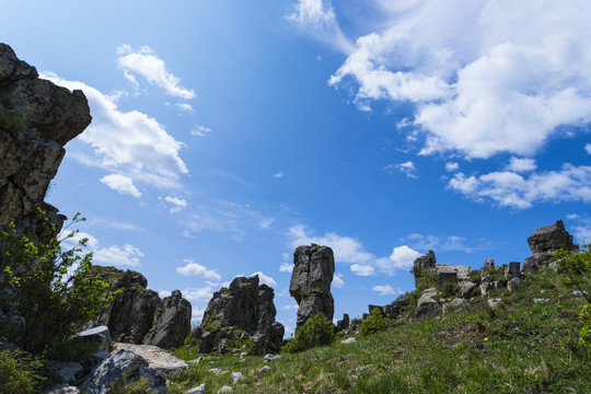 风景