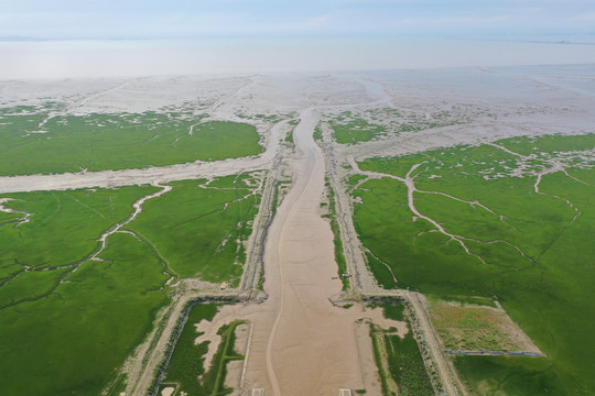 杭州湾新区滩涂地