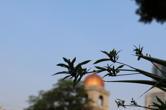 黄昏