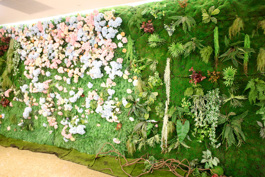植物花墙