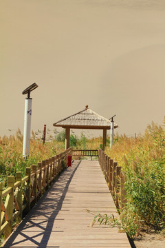 沙漠绿洲栈桥