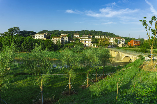 乡村风景