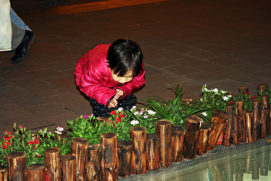 看花的小女孩