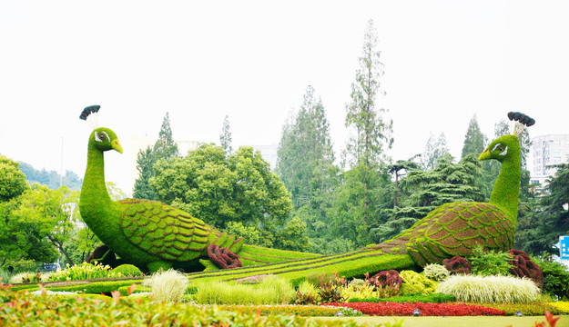 花坛造景