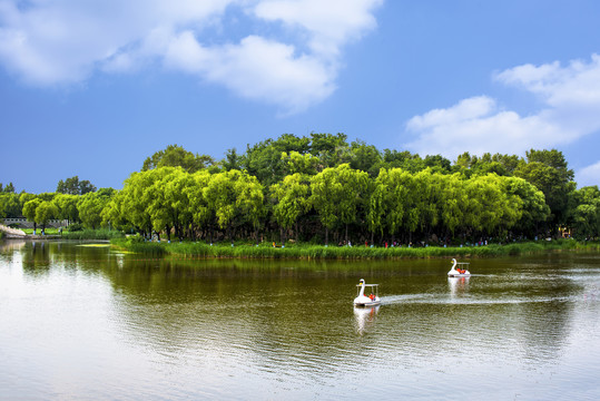 蓝天绿树湖水