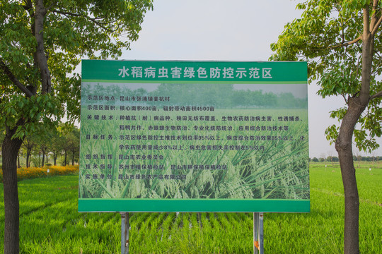 水稻病虫害绿色防控示范区