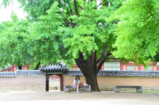 韩国首尔景福宫