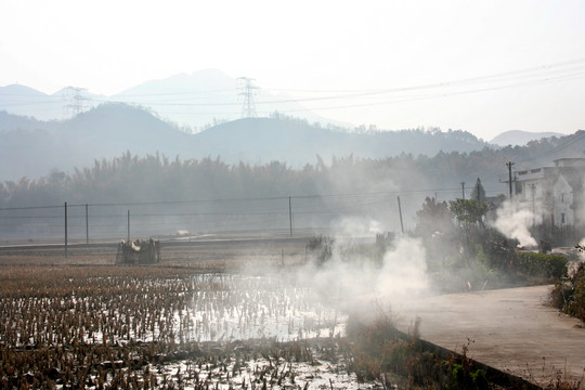 田园风光