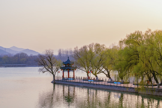 春天风景画