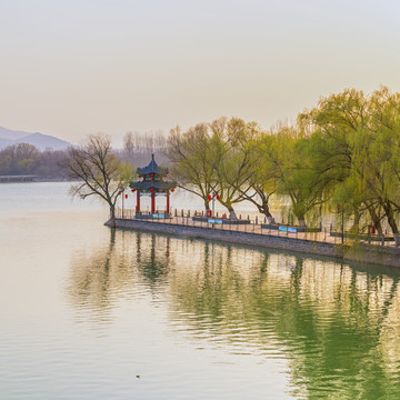 春天风景画