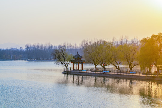 春天风景画
