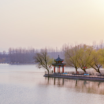 春天风景画