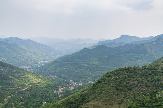 青山