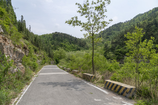 山路