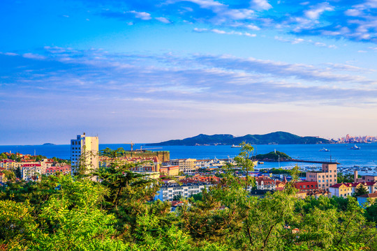 青岛