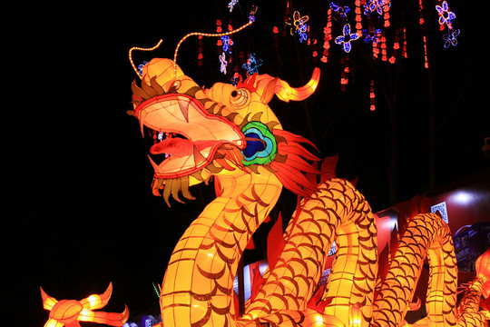 龙灯