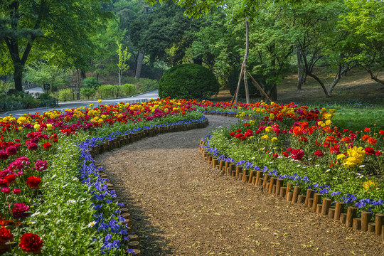 花路高清大图