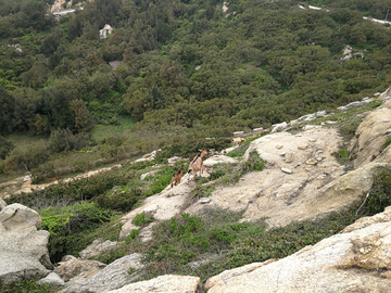 山谷