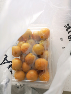 杏子