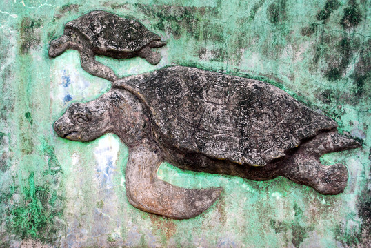 浮雕海龟