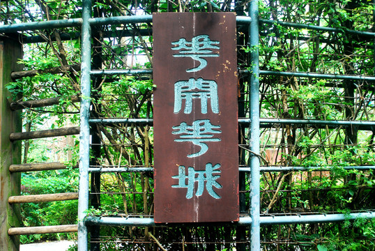 花开花城