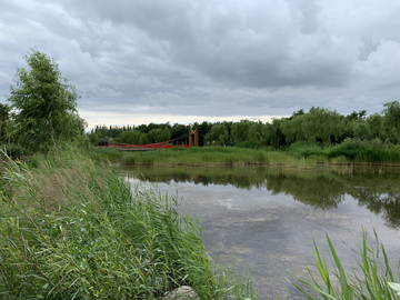 风景