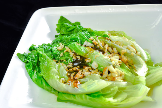 菜肴凉拌生菜