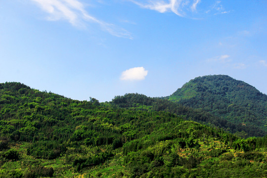 大青山乡村退耕还林