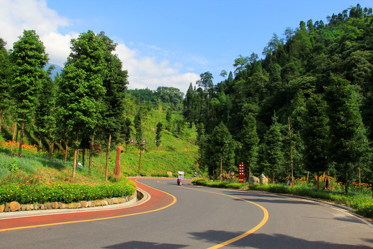 乡村公路景色宜人