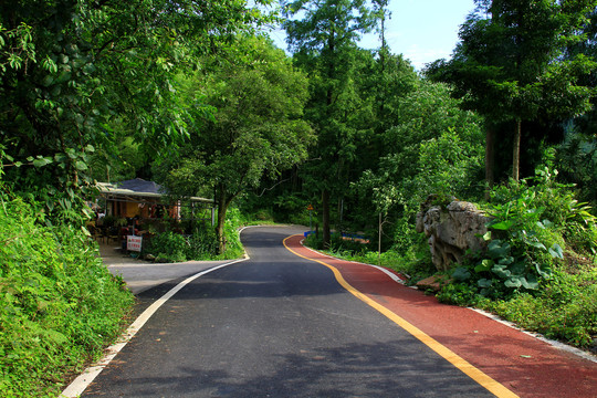 乡村公路景色宜人