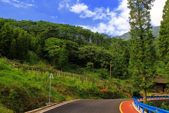 乡村公路景色宜人