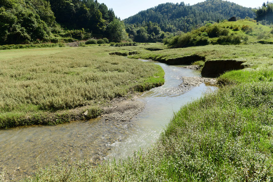 山区山脉草场放牧