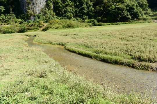 山区山脉草场放牧