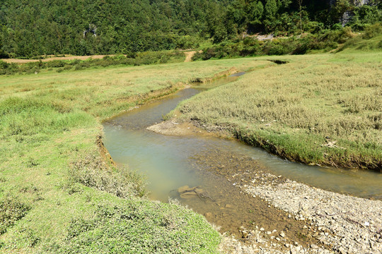 山区山脉草场放牧