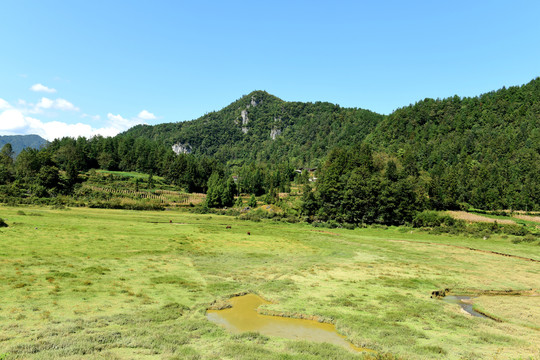 山区山脉草场放牧