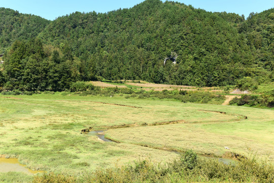 山区山脉草场放牧