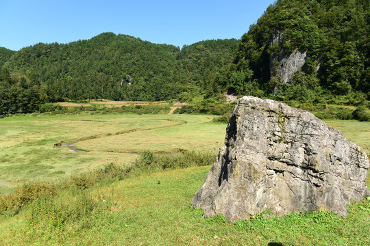 山区山脉草场放牧