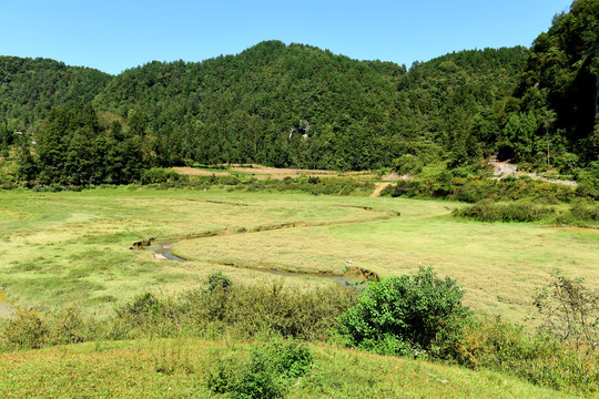 山区山脉草场放牧