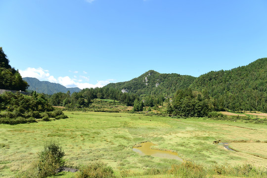山区山脉草场放牧